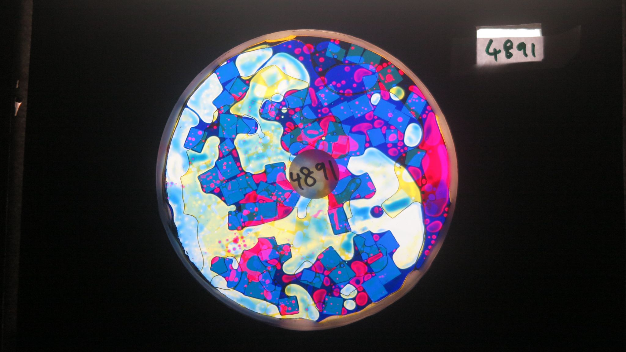 Bv4891 bubble vision oil wheel